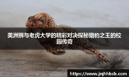 美洲狮与老虎大学的精彩对决探秘猎豹之王的校园传奇